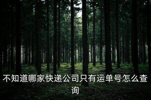 快遞查詢自動識別，不知道哪家快遞公司只有運單號怎么查詢