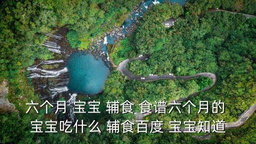 六個(gè)月 寶寶 輔食 食譜六個(gè)月的 寶寶吃什么 輔食百度 寶寶知道