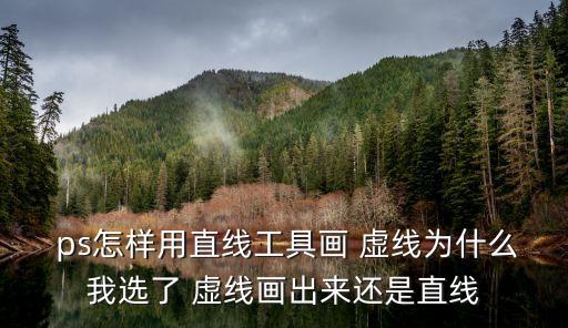  ps怎樣用直線工具畫 虛線為什么我選了 虛線畫出來還是直線