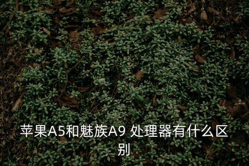 a5處理器,這款處理器有哪些亮點?