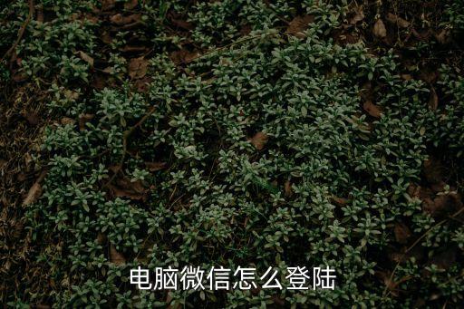 電腦微信怎么登陸