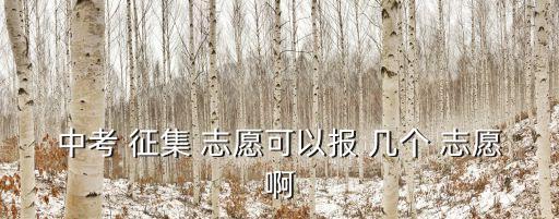 征集志愿能報幾個,批次征集志愿今天8:30開始填報