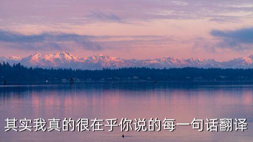 其實我真的很在乎你說的每一句話翻譯