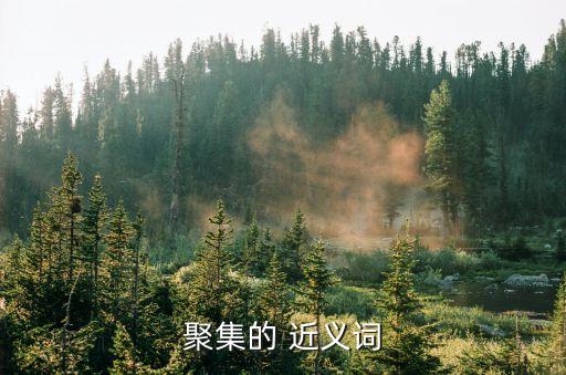 密集的近義詞,密集的蘆葦守護(hù)著野花!