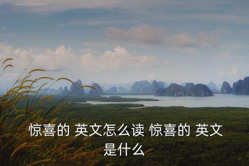 驚喜的英文怎么讀,驚喜與暗喜