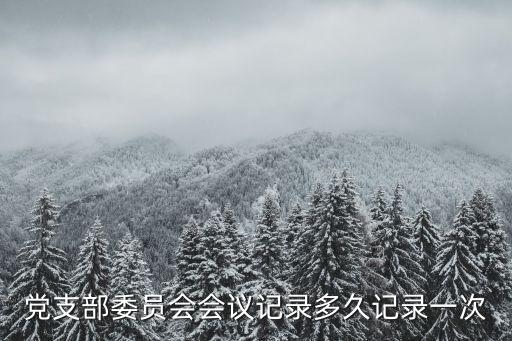 黨支部委員會會議記錄多久記錄一次