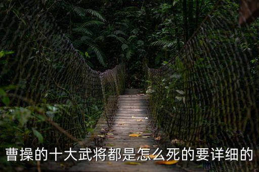 曹操的十大武將都是怎么死的要詳細的