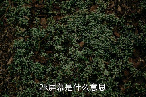 2k屏幕是什么意思