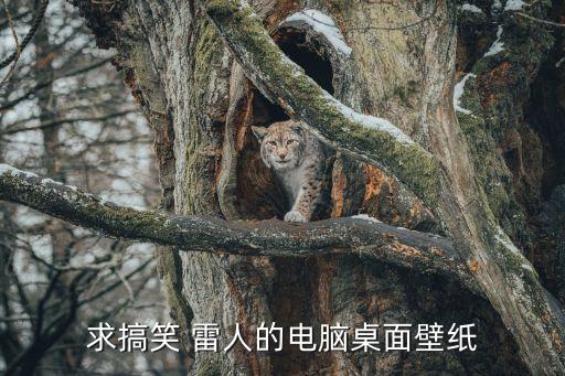 電腦壁紙搞笑，求搞笑 雷人的電腦桌面壁紙