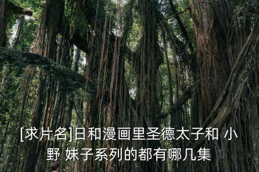 小野妹子,第一季第二句:楊帝怒降國書第三句圣牛的一周