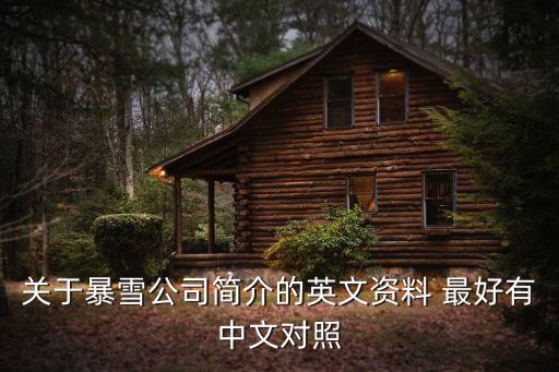 關于暴雪公司簡介的英文資料 最好有中文對照