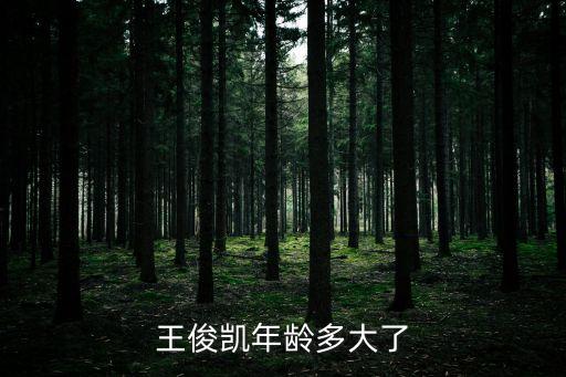 王俊凱年齡，王俊凱真實年齡是多大