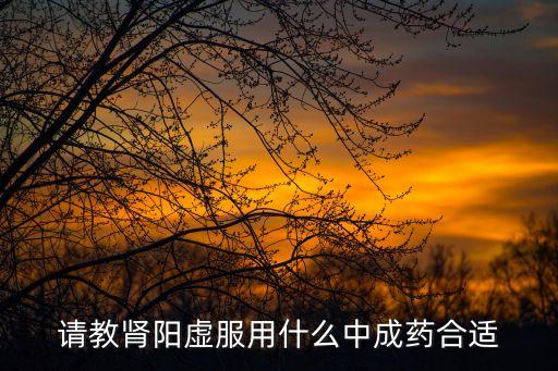 腎陽虛中成藥，治療腎陽虛的中成藥