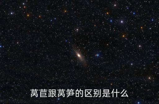 萵苣跟萵筍的區別是什么