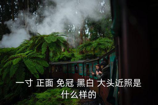 一寸 正面 免冠 黑白 大頭近照是什么樣的