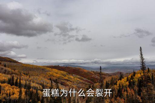 蛋糕為什么會開裂，請高手幫我分析一下我的戚風蛋糕開裂的原因