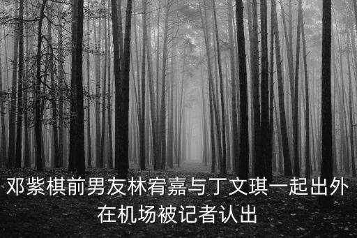 鄧紫棋前男友林宥嘉與丁文琪一起出外在機場被記者認出