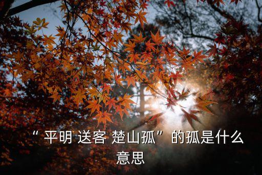 “ 平明 送客 楚山孤”的孤是什么意思