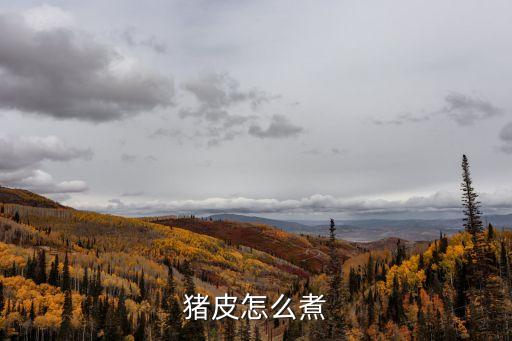 豬皮怎么煮