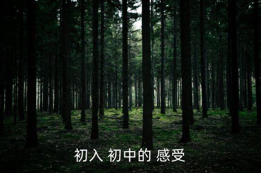 初入 初中的 感受