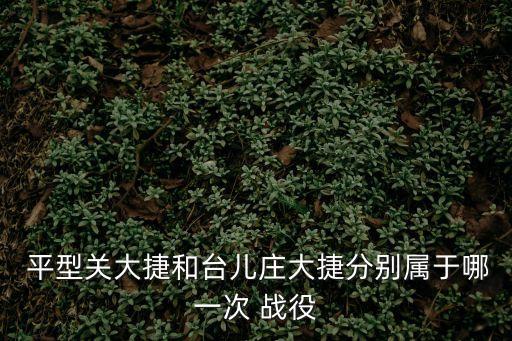平型關戰役簡介,二戰時期的平型關戰役是什么?