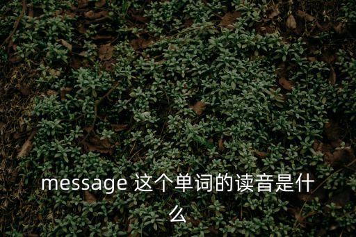 message 這個單詞的讀音是什么