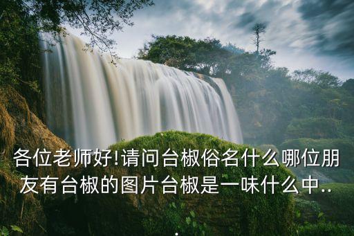 各位老師好!請問臺椒俗名什么哪位朋友有臺椒的圖片臺椒是一味什么中...