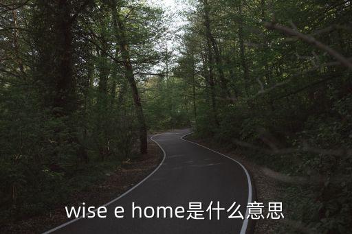 大學生創新創業大賽優秀作品，wise e home是什么意思