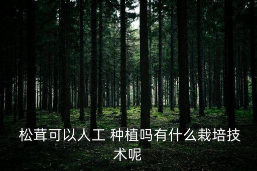  松茸可以人工 種植嗎有什么栽培技術呢