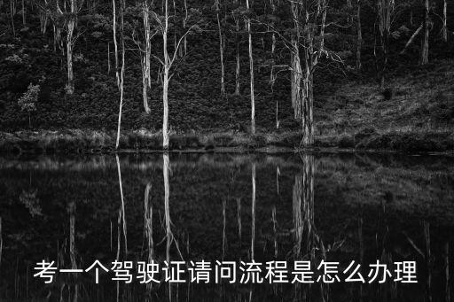 考一個駕駛證請問流程是怎么辦理