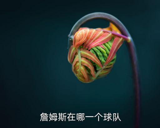 nba詹姆斯,勒布朗詹姆斯nba球星布魯克林詹皇