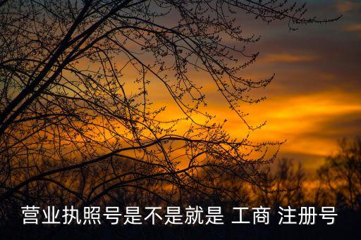 營業(yè)執(zhí)照號是不是就是 工商 注冊號