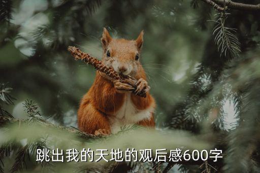 跳出我的天地的觀后感600字