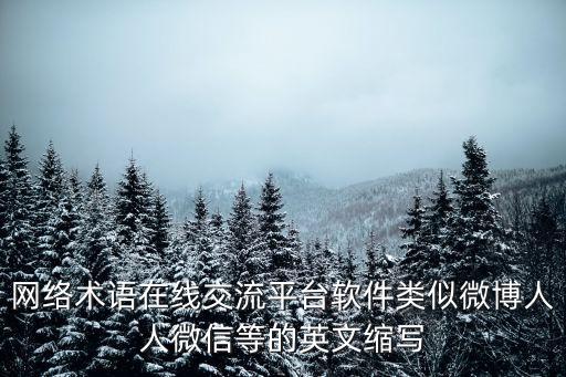 網(wǎng)絡(luò)術(shù)語在線交流平臺軟件類似微博人人微信等的英文縮寫