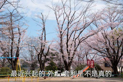外匯套利,外匯套利交易:利用買賣外匯獲得匯兌差額收益