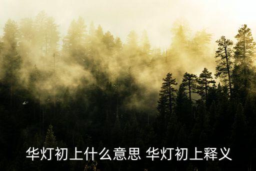  華燈初上什么意思 華燈初上釋義
