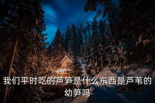蘆筍圖片，我們平時吃的蘆筍是什么東西是蘆葦?shù)挠坠S嗎