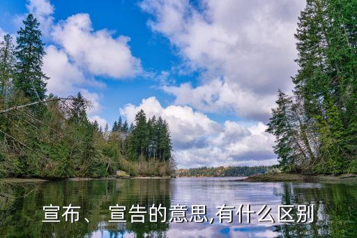 宣布、 宣告的意思,有什么區別