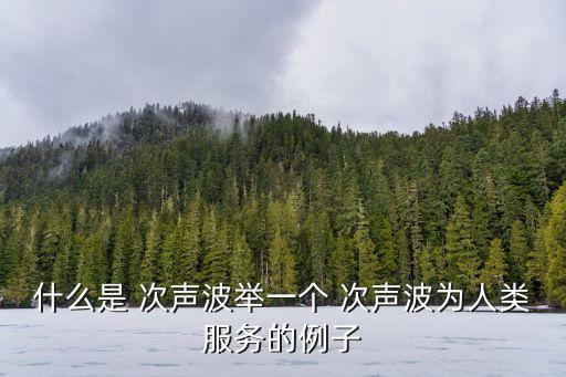 什么是 次聲波舉一個 次聲波為人類服務的例子