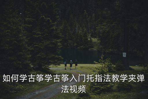 古箏教程，如何學古箏難嗎最好有教程