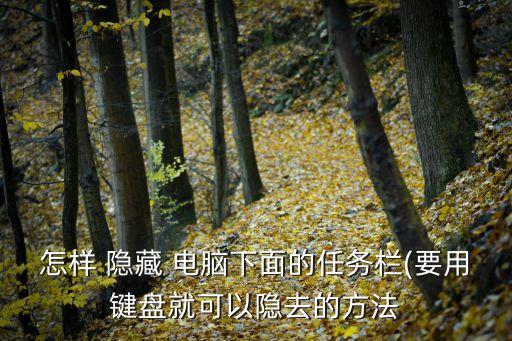 怎樣 隱藏 電腦下面的任務欄(要用鍵盤就可以隱去的方法