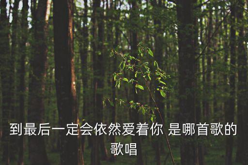 到最后一定會(huì)依然愛(ài)著你 是哪首歌的歌唱