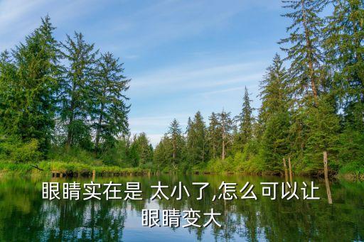  眼睛實在是 太小了,怎么可以讓 眼睛變大