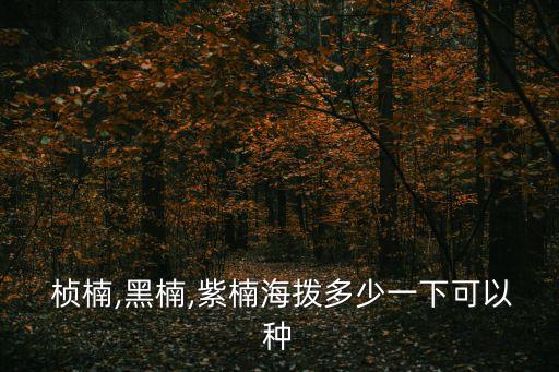 楨楠,第二種說法!蕭也楨楠是金絲楠嗎?