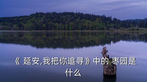 《 延安,我把你追尋》中的 棗園是什么