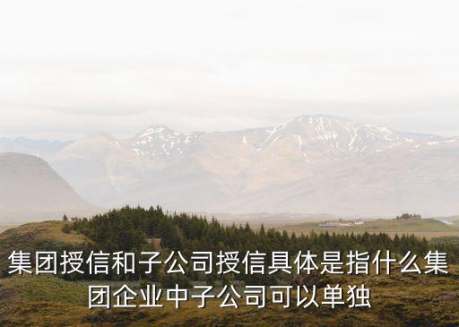 集團(tuán)授信和子公司授信具體是指什么集團(tuán)企業(yè)中子公司可以單獨(dú)