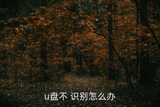 u盤不 識別怎么辦