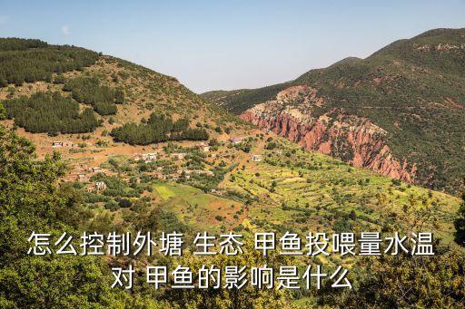 生態甲魚,從尾部切入活態甲魚注意事項