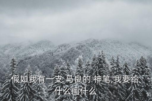假如我有一支 馬良的 神筆,我要給什么畫什么
