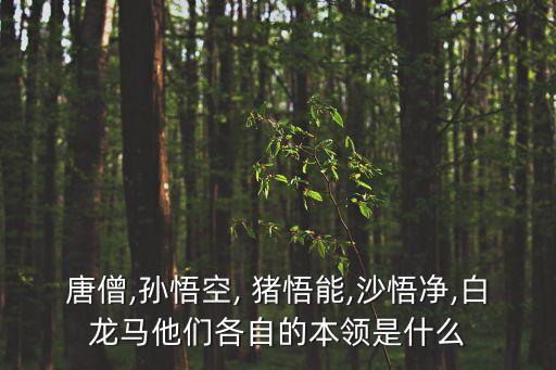 唐僧,孫悟空, 豬悟能,沙悟凈,白龍馬他們各自的本領是什么